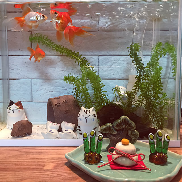 lapoさんの実例写真