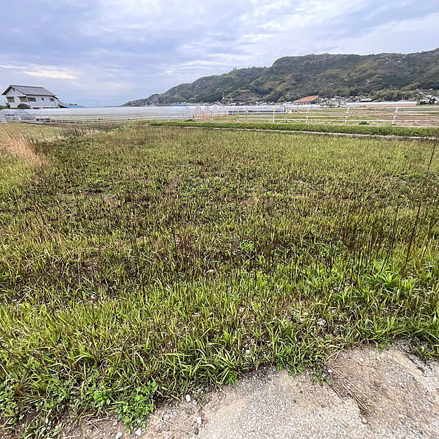 Vakiさんの部屋