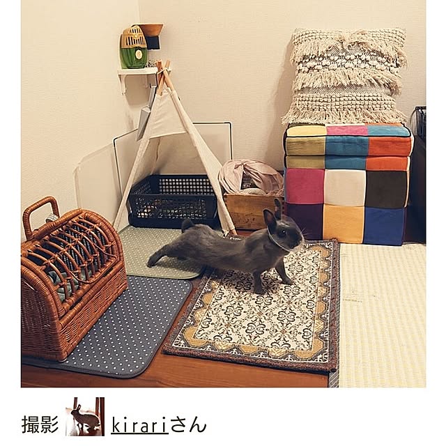 kirariさんの実例写真