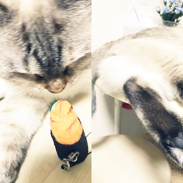 nachuさんの実例写真