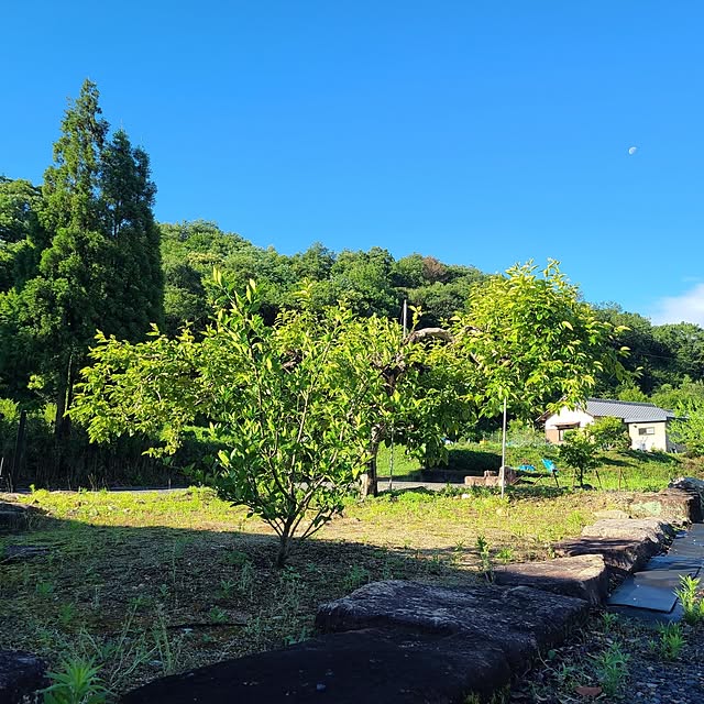 Rubiconさんの部屋