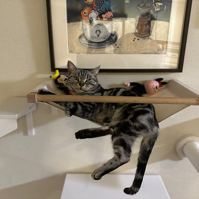 Yuki_with_a_tailさんの部屋