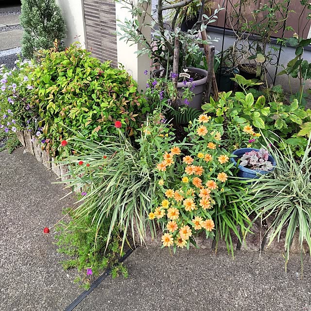 mutsuさんの部屋