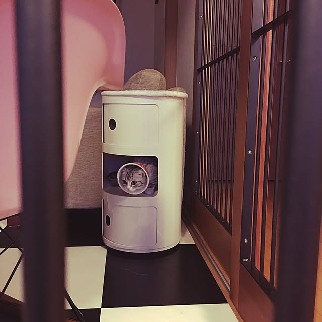Shojiさんの実例写真