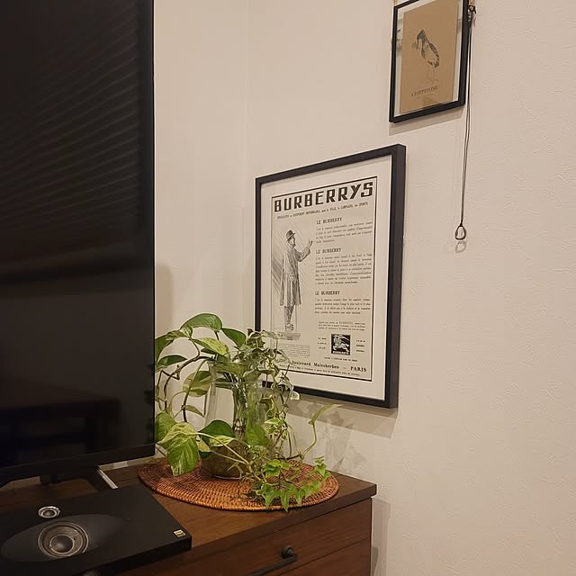 pocoさんの実例写真