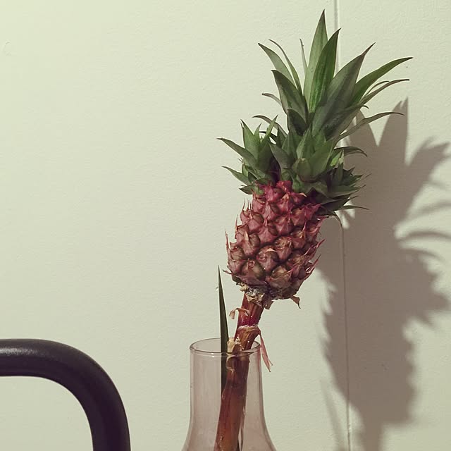 mdw1010さんの実例写真