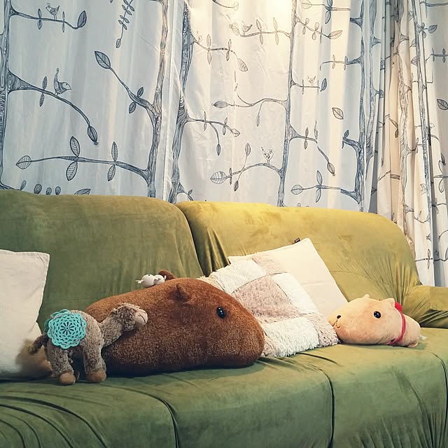 Granadillaさんの実例写真