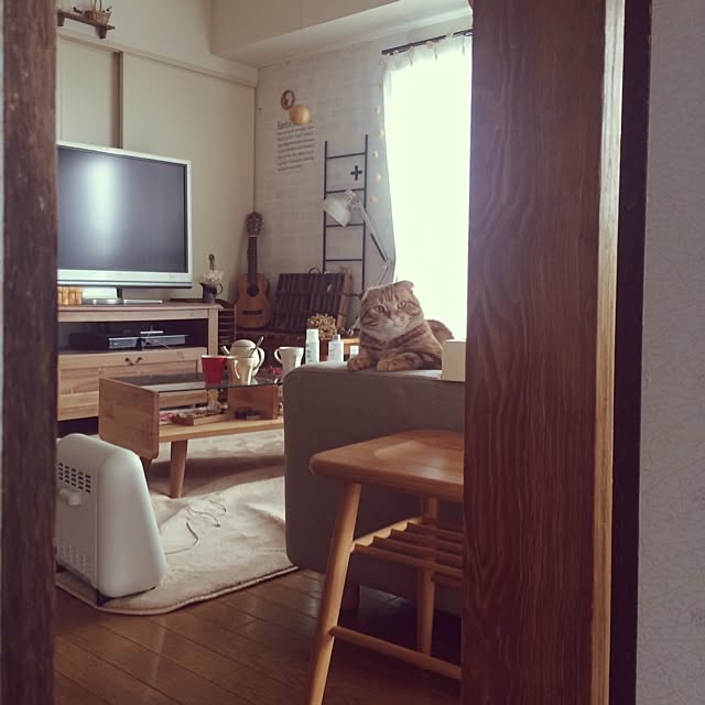 fu-toraさんの実例写真