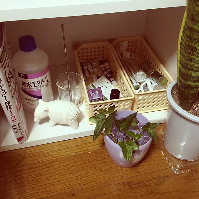 ginjiさんの実例写真