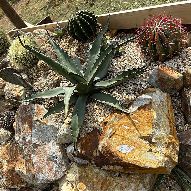 bonber0212さんの実例写真