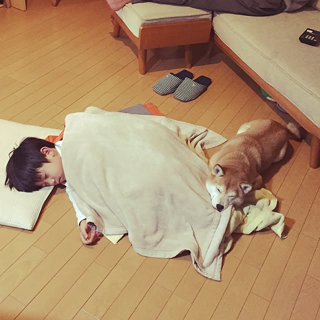 shizu2380さんの実例写真