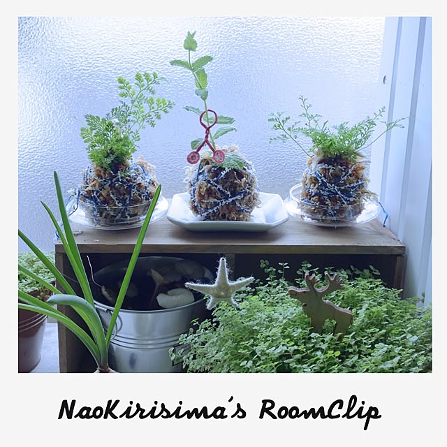 naokirisimaさんの実例写真