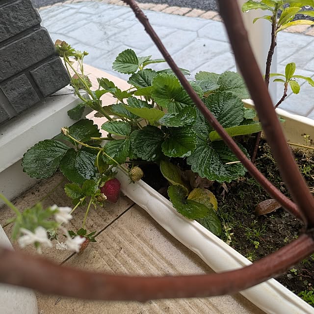 minnieさんの部屋