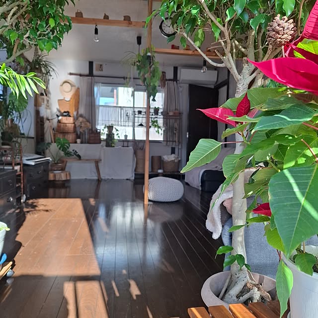 midoriさんの部屋