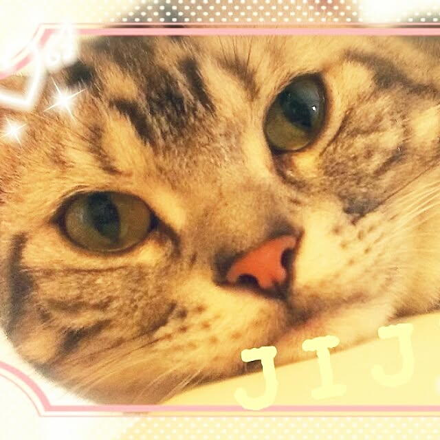 Yuriさんの実例写真