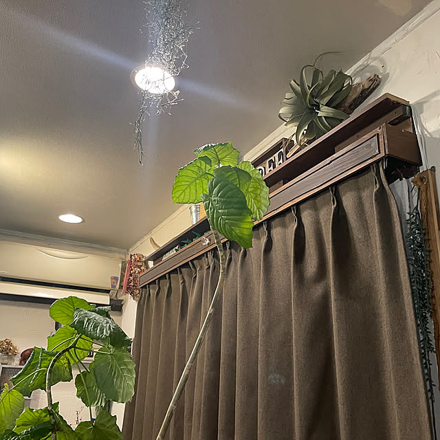 burubonさんの部屋