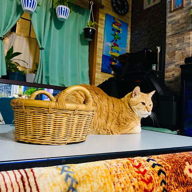 tututu0204さんの部屋