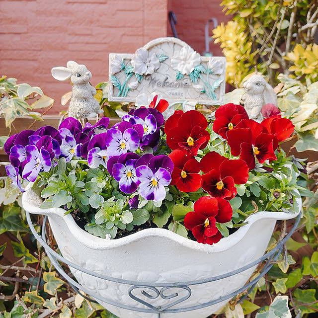 mukkuさんの部屋