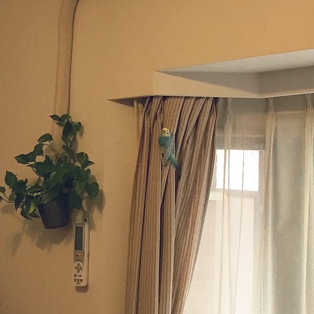 ryouyum126さんの実例写真