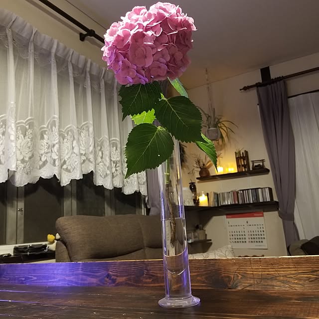 midoriさんの部屋