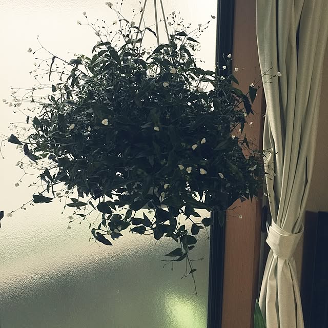 Harumiさんの実例写真