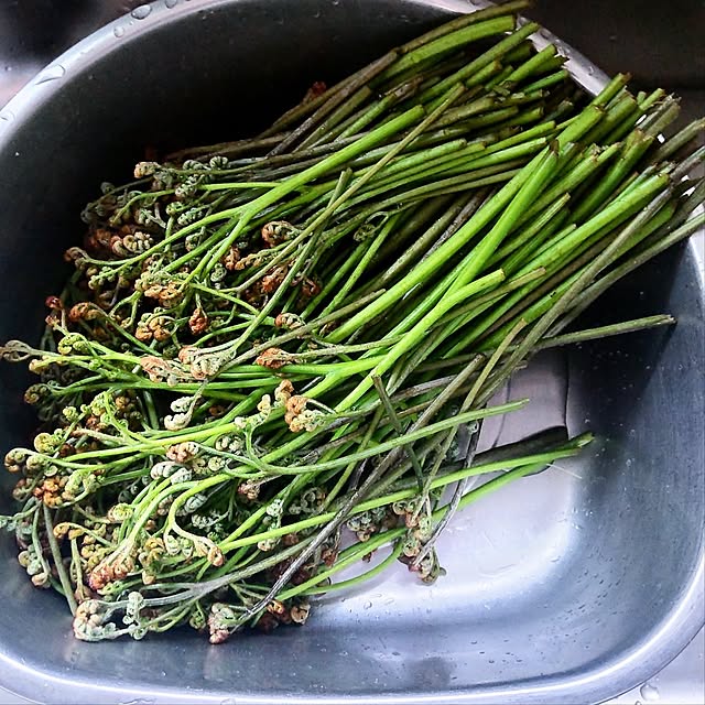 NSDさんの実例写真