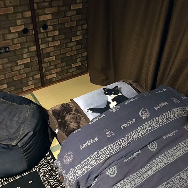 cocotaiさんの実例写真