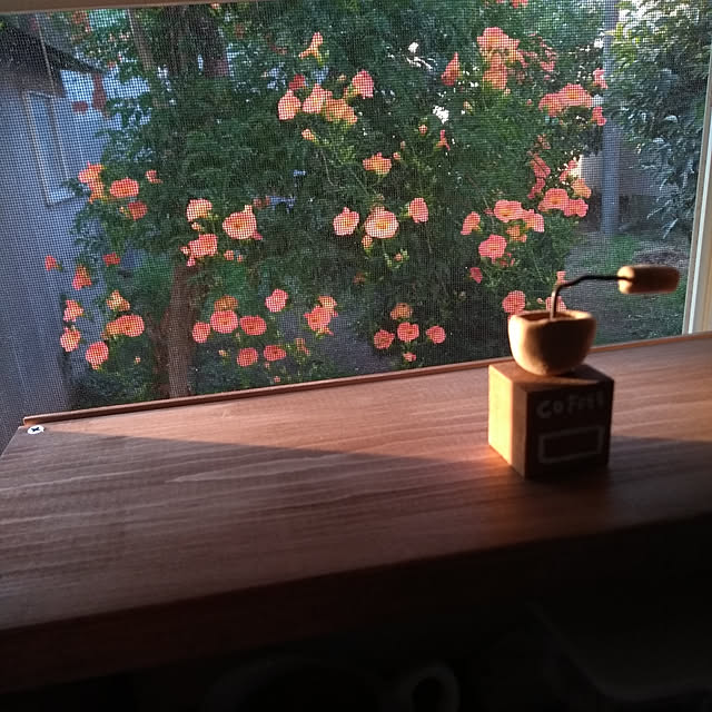 haruさんの実例写真
