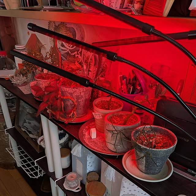 chi_gogaさんの部屋