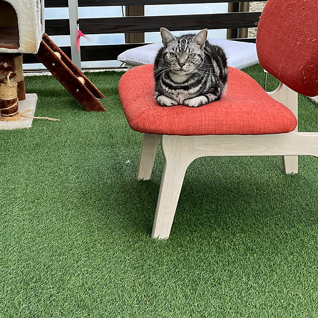 zabonzabonさんの実例写真