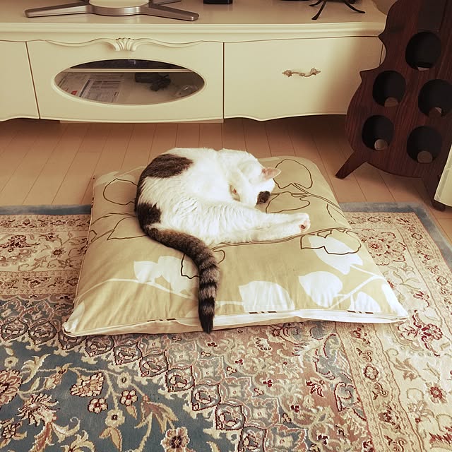 coedodecoさんの実例写真