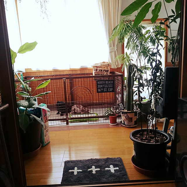 tikuwaさんの実例写真