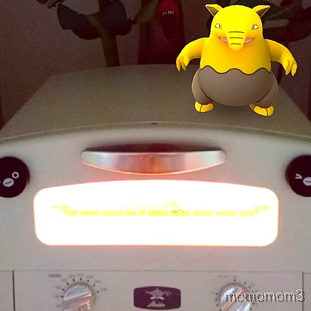 hidemomさんの実例写真