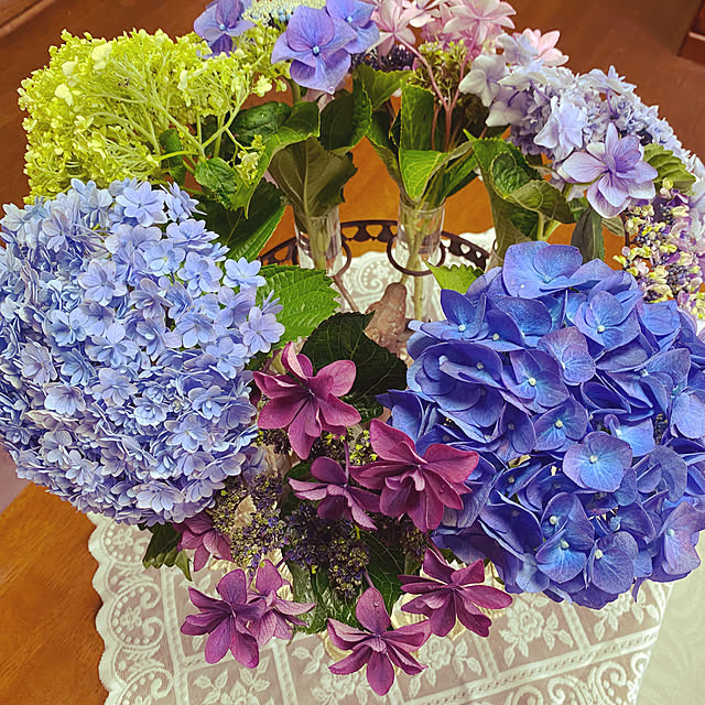ChiCoさんの部屋