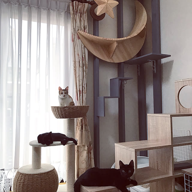 mimaさんの実例写真