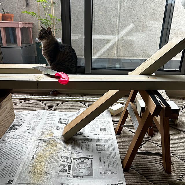 mikomaruさんの部屋