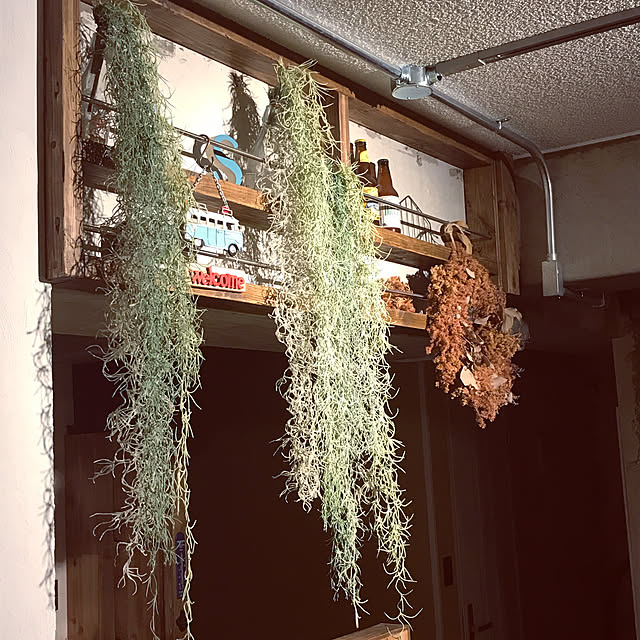 Samoさんの実例写真