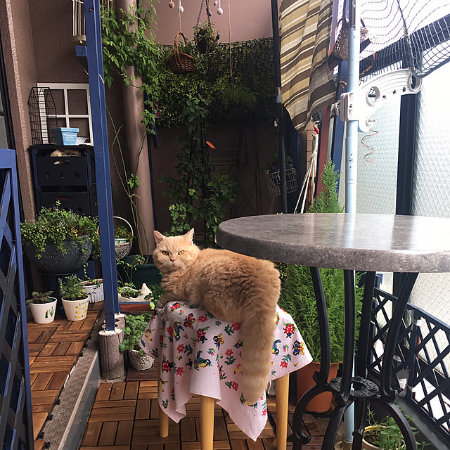 naokoさんの部屋