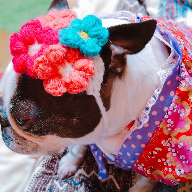 maiさんの実例写真