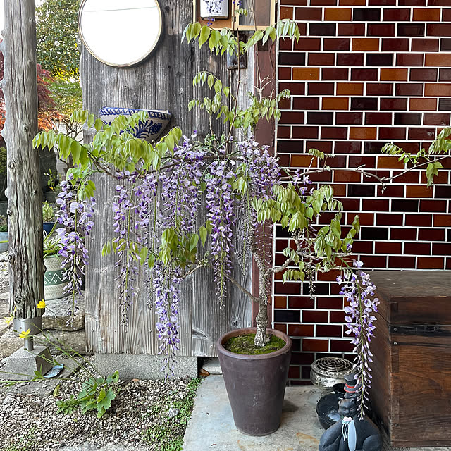 shin0719さんの実例写真