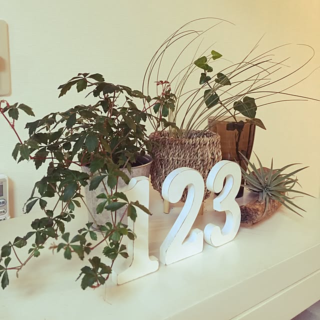 momijiさんの実例写真