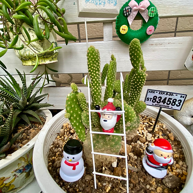 YuuKoさんの部屋