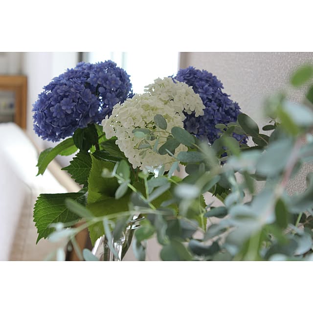 yururi_lifeさんの実例写真