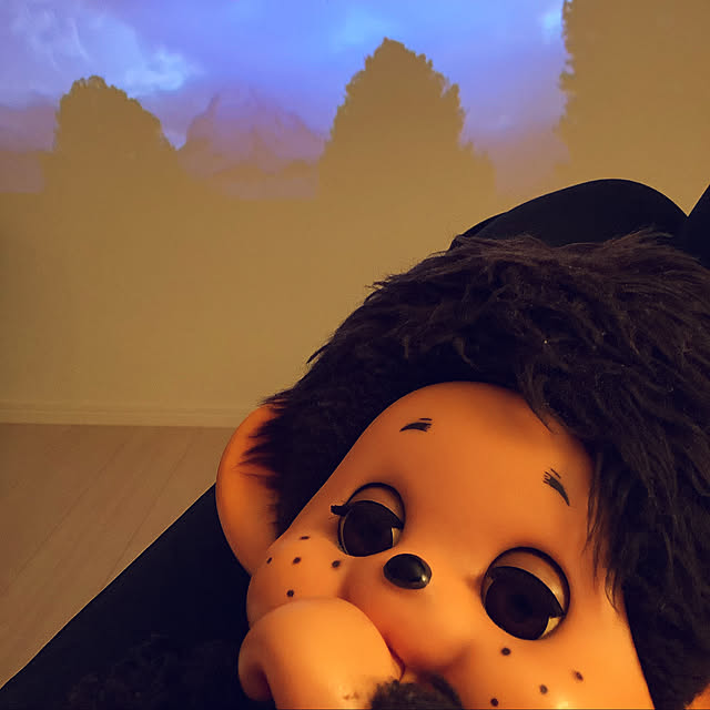 Doriさんの実例写真