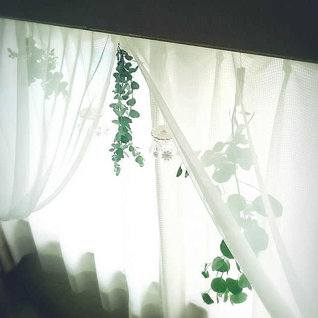 miho.okuさんの実例写真