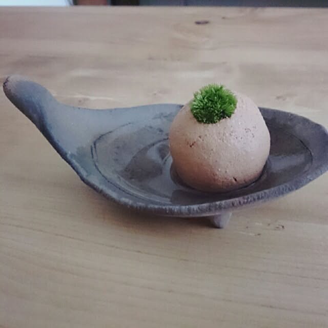oriさんの実例写真