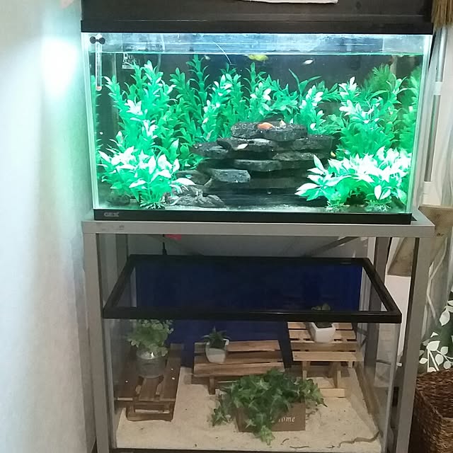 実例写真