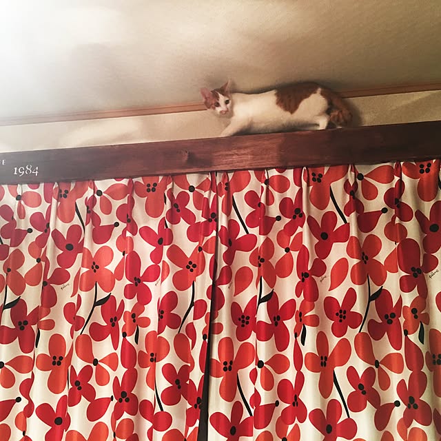 Eddieさんの実例写真