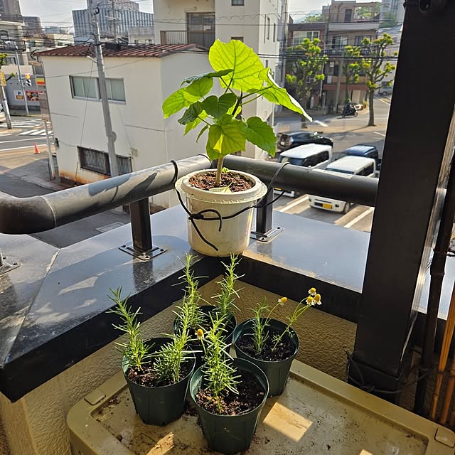 mitsuyama3136さんの実例写真