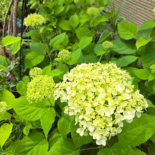 min_nimさんの部屋